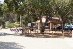 238-DSC04692