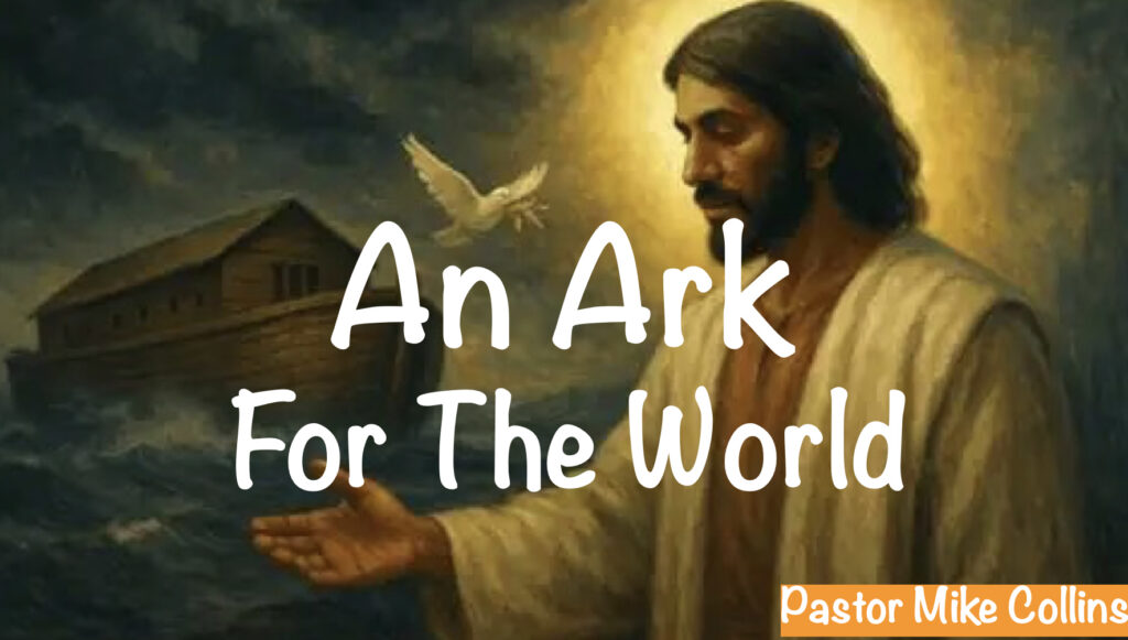 Artwork for An Ark To The World