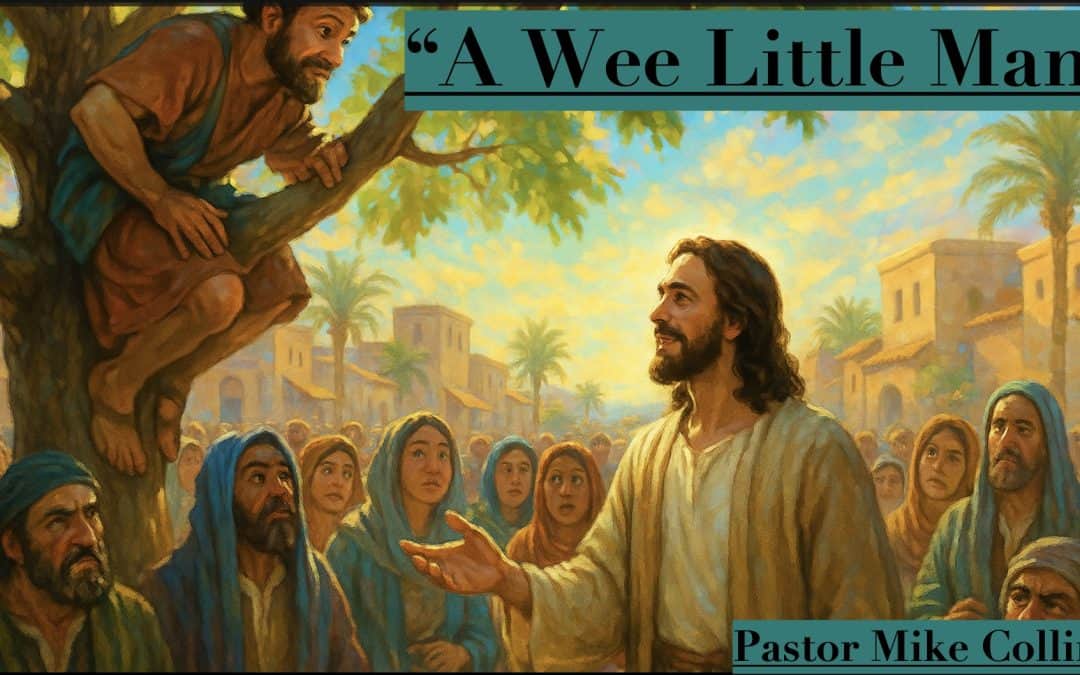 A Wee Little Man