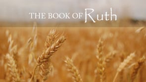 Ruth 2 Artwork for Ruth 2