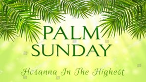 Passion Through The Palms Artwork for Passion Through The Palms