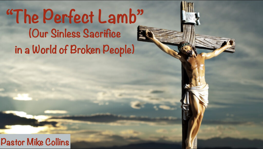 Artwork for The Perfect Lamb