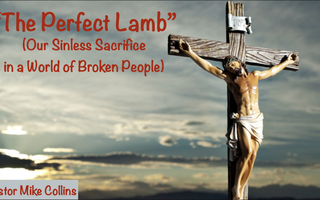 The Perfect Lamb