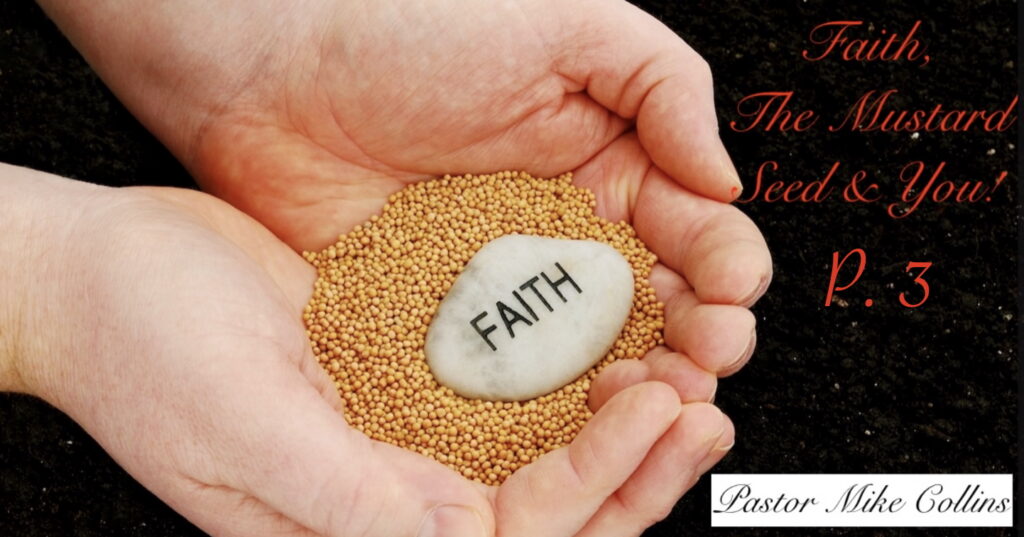 Artwork for Faith, The Mustard Seed, & You P3