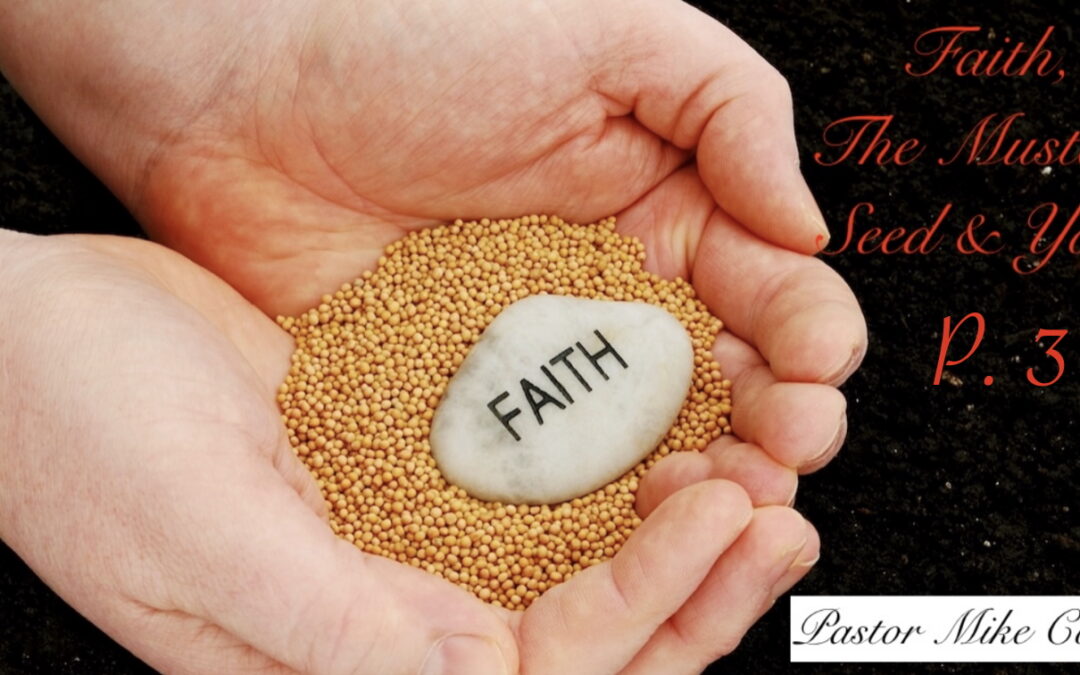 Faith, The Mustard Seed, & You P3