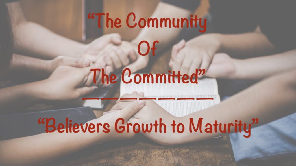 Believers Growth To Maturity Artwork for Believers Growth To Maturity