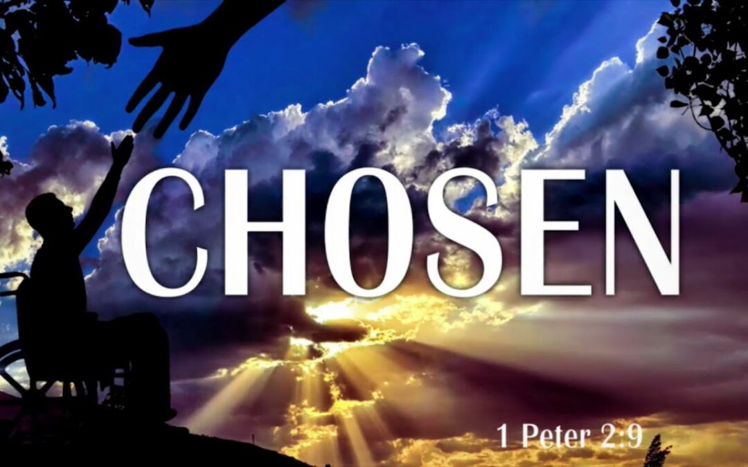 You Are Chosen