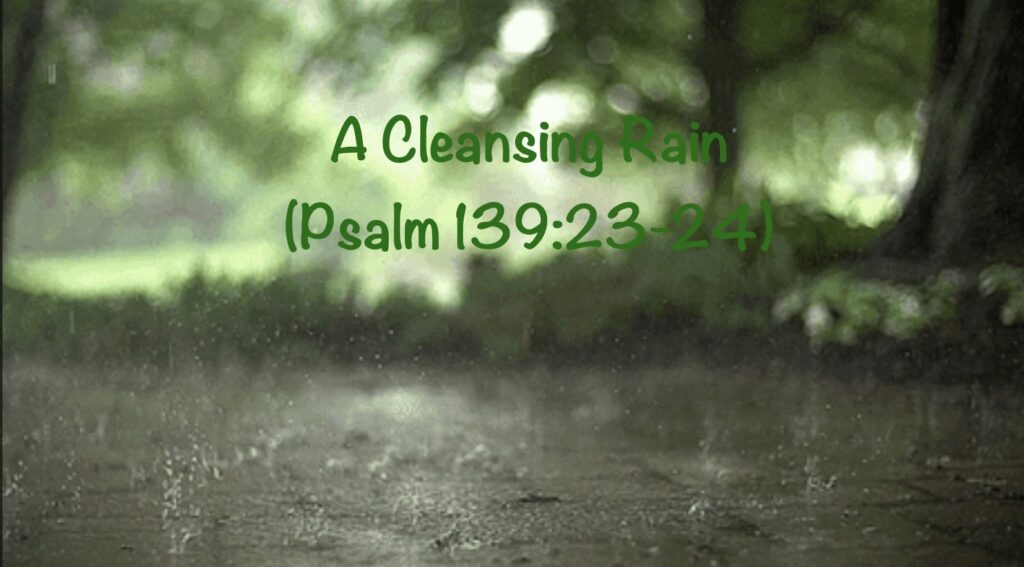 Artwork for Cleansing Rain