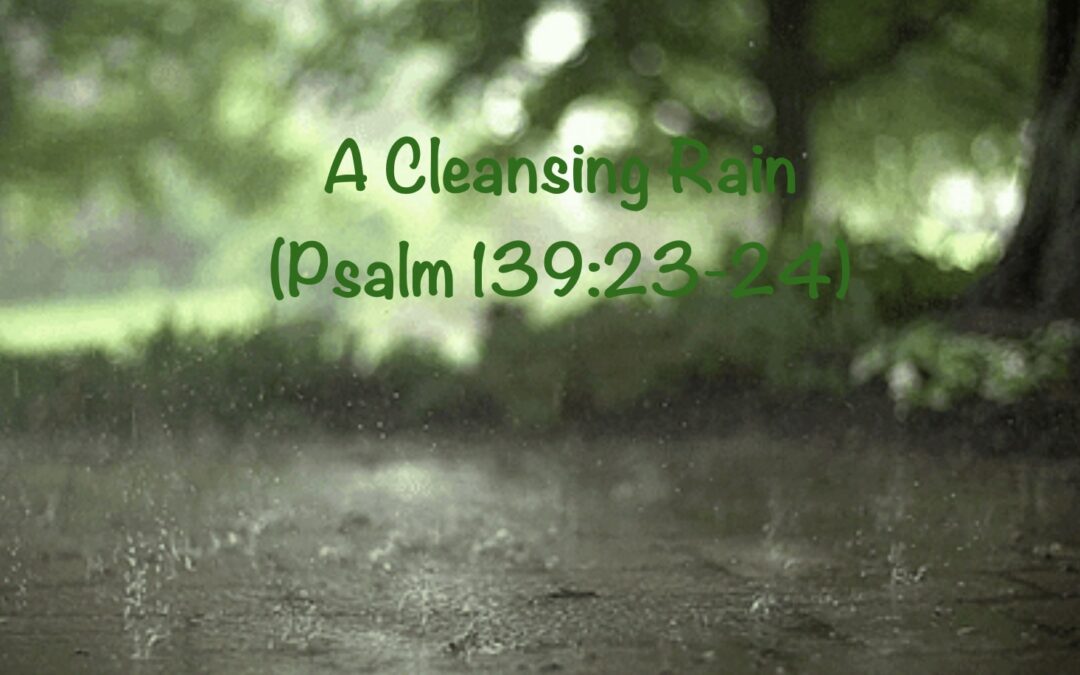 Cleansing Rain