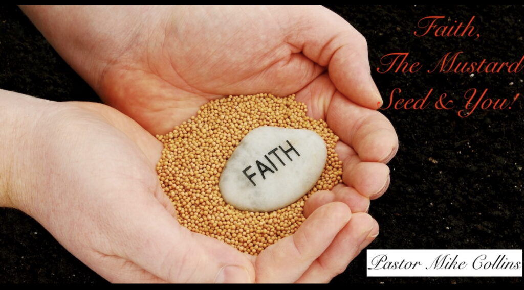 Artwork for Faith, The Mustard Seed, & You