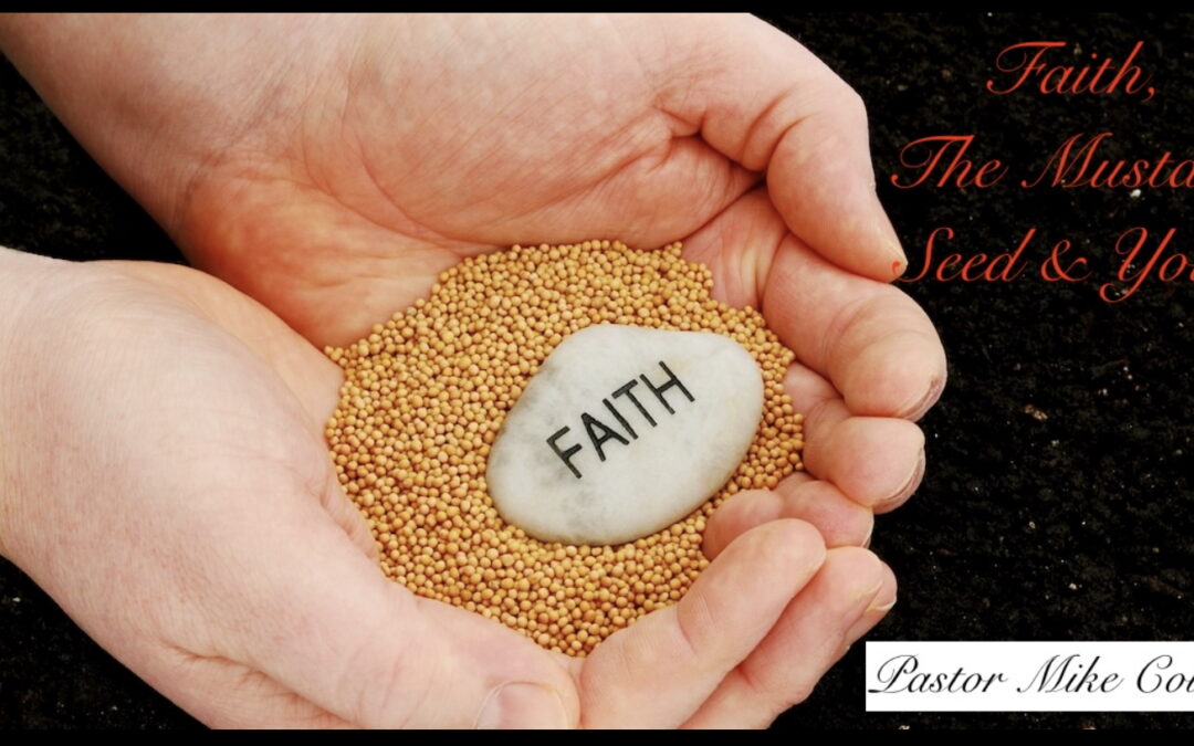 Faith, The Mustard Seed, & You
