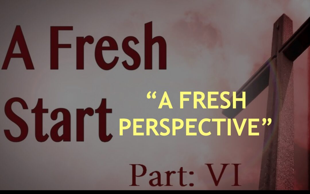 A Fresh Start 6