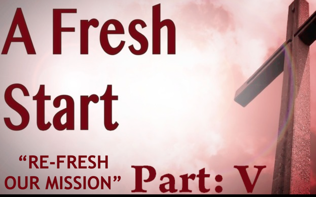 A Fresh Start 5