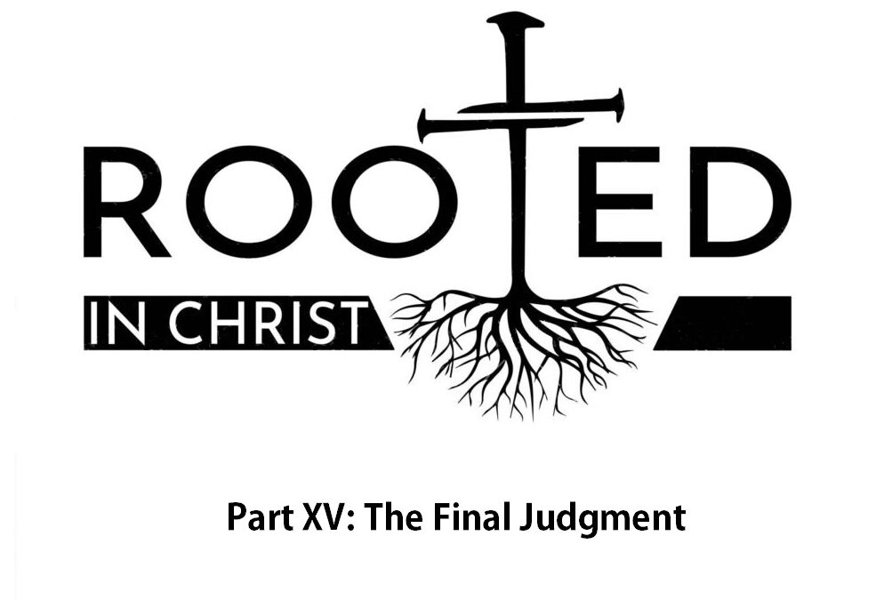 Rooted P15 The Final Judgment