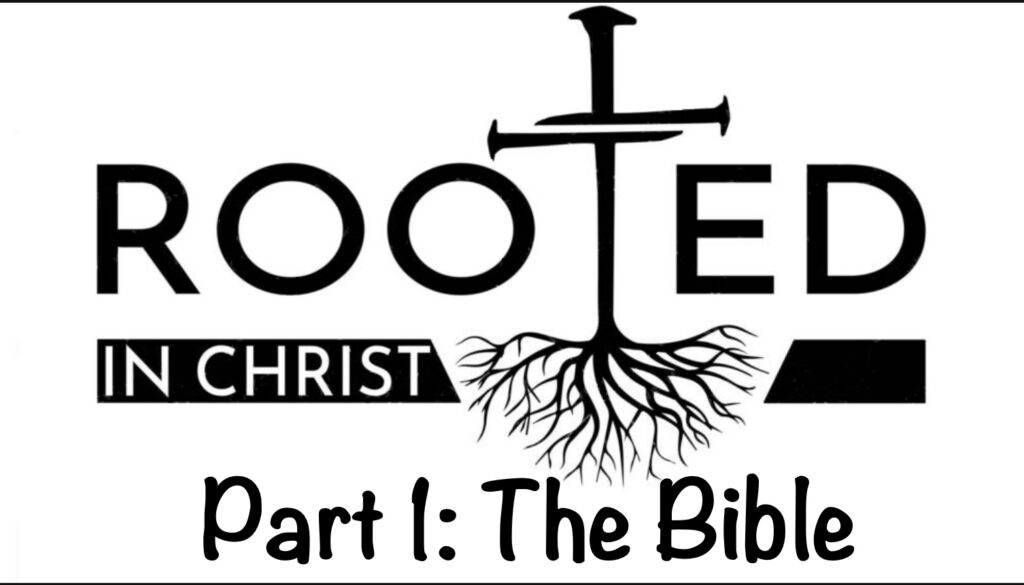 Artwork for Rooted P1 The Bible
