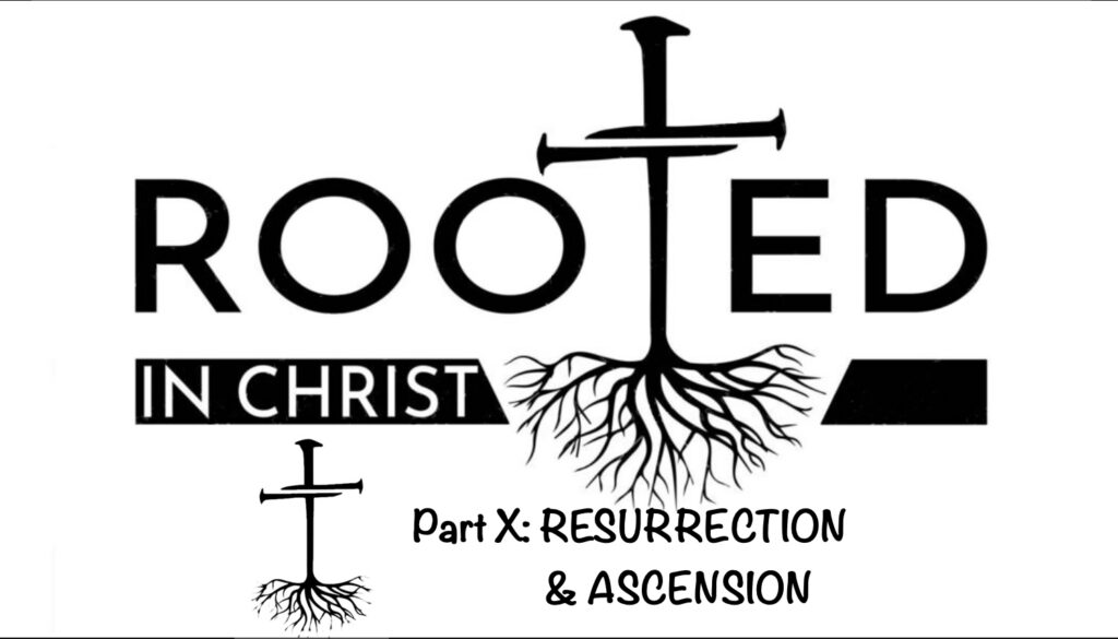 Rooted P10 Resurrected Artwork for Rooted P10 Resurrected