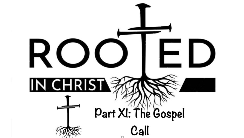 Rooted P11 The Gospel Call Artwork for Rooted P11 The Gospel Call