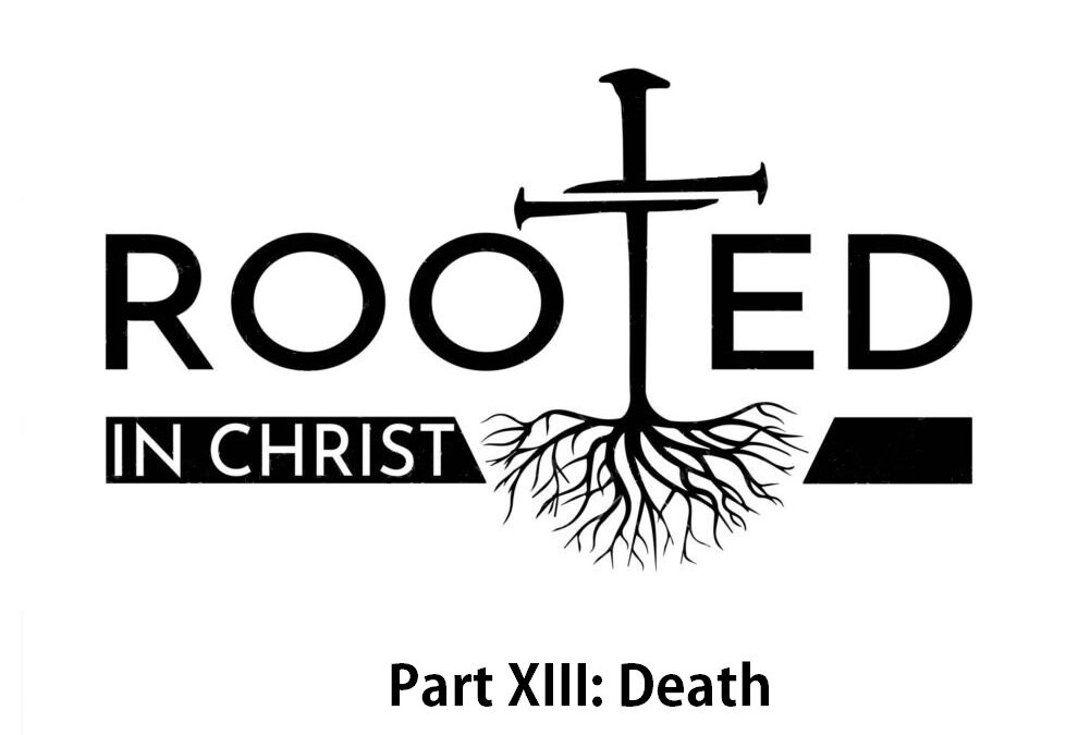 Rooted P13 Death