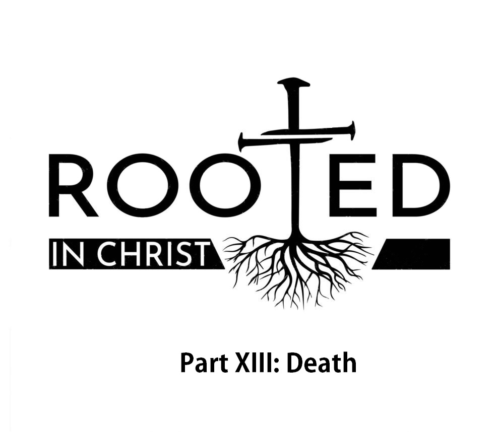 Rooted P13 Death Artwork for Rooted P13 Death