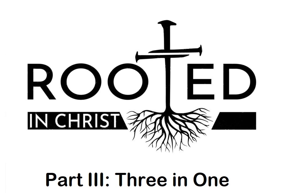 Rooted P3 Three In One