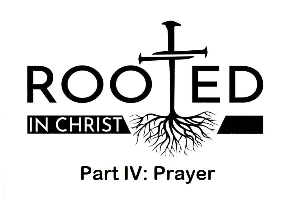 Rooted P4 Prayer
