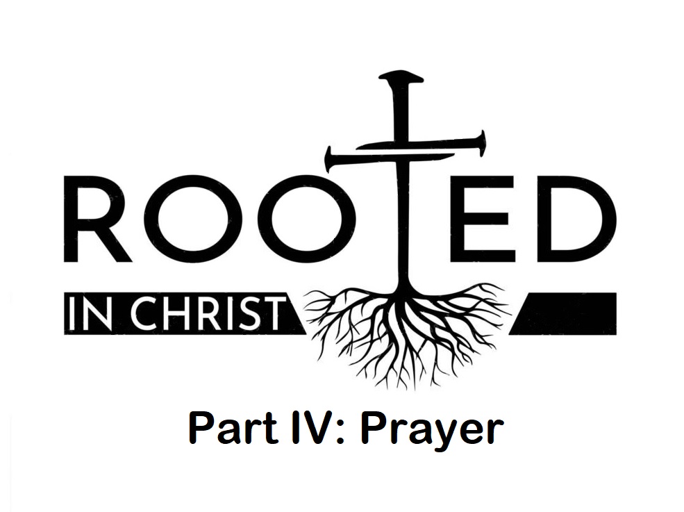 Artwork for Rooted P4 Prayer
