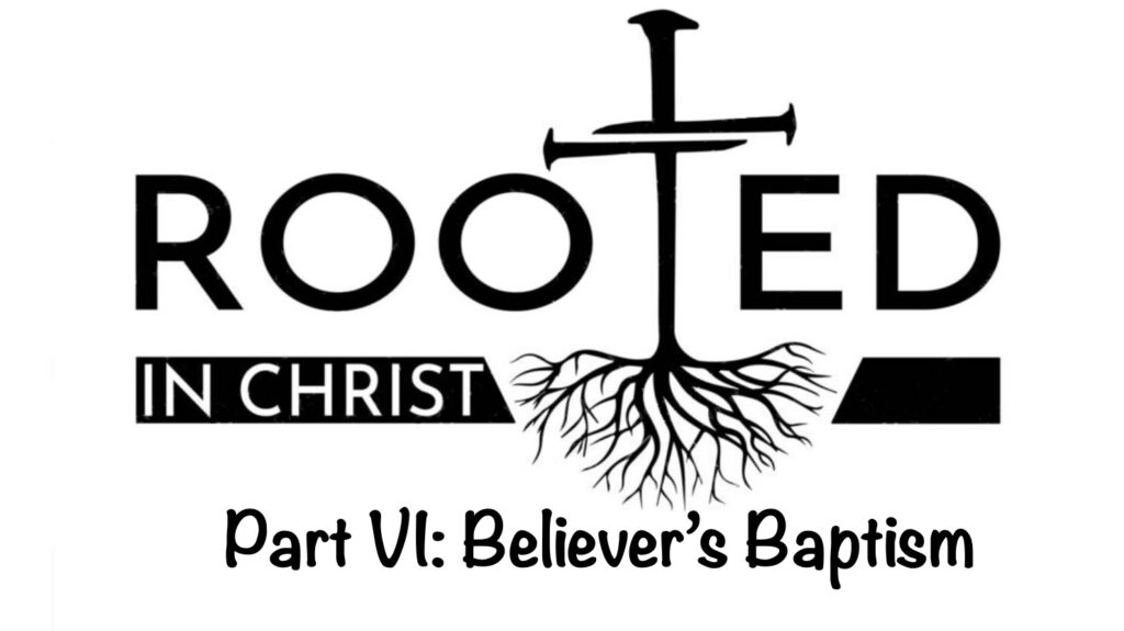 Rooted P6 Believers Baptism Artwork for Rooted P6 Believers Baptism