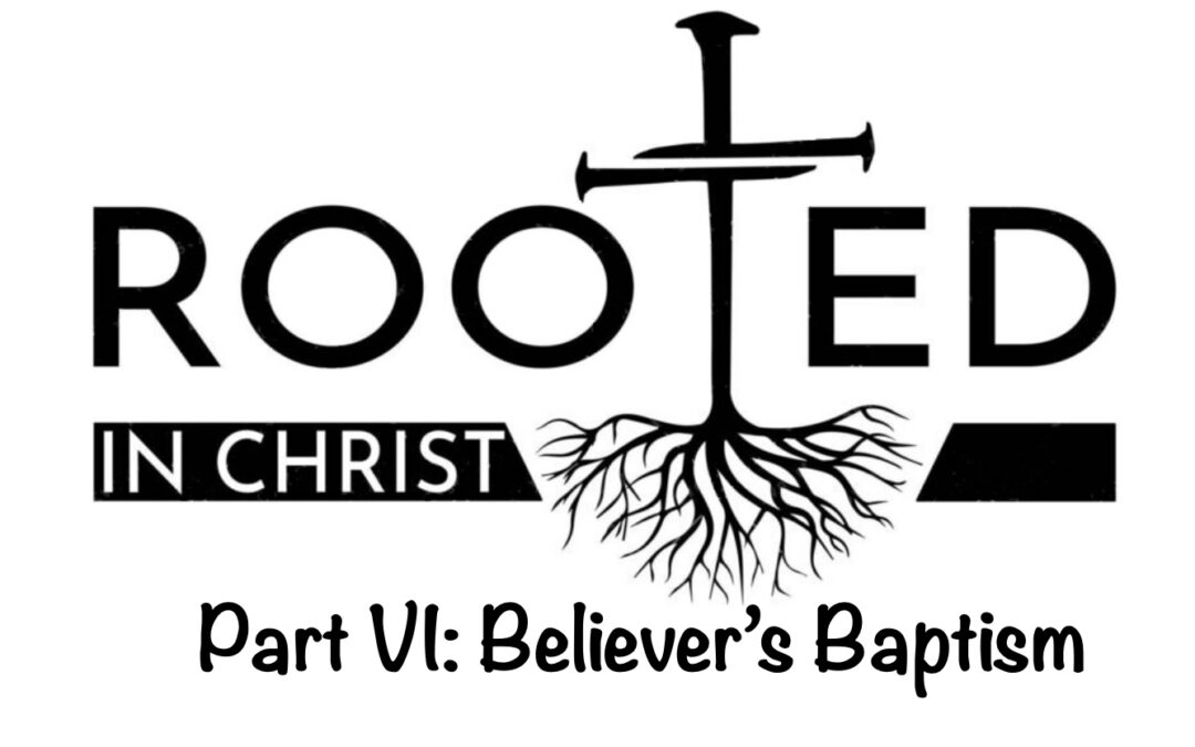 Rooted P6 Believers Baptism