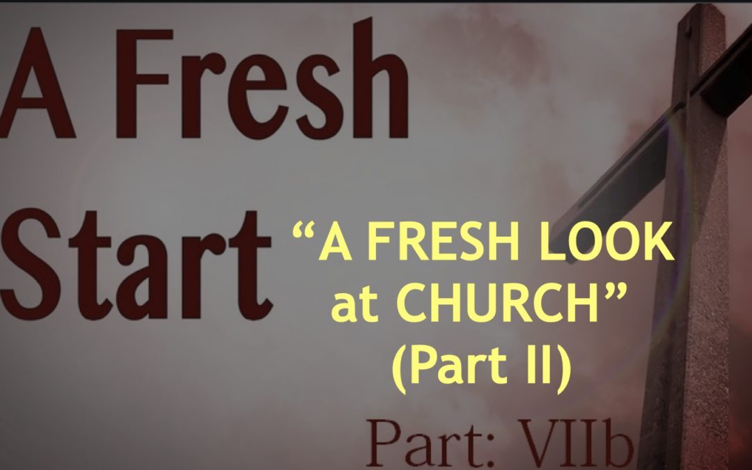 A Fresh Start 7b