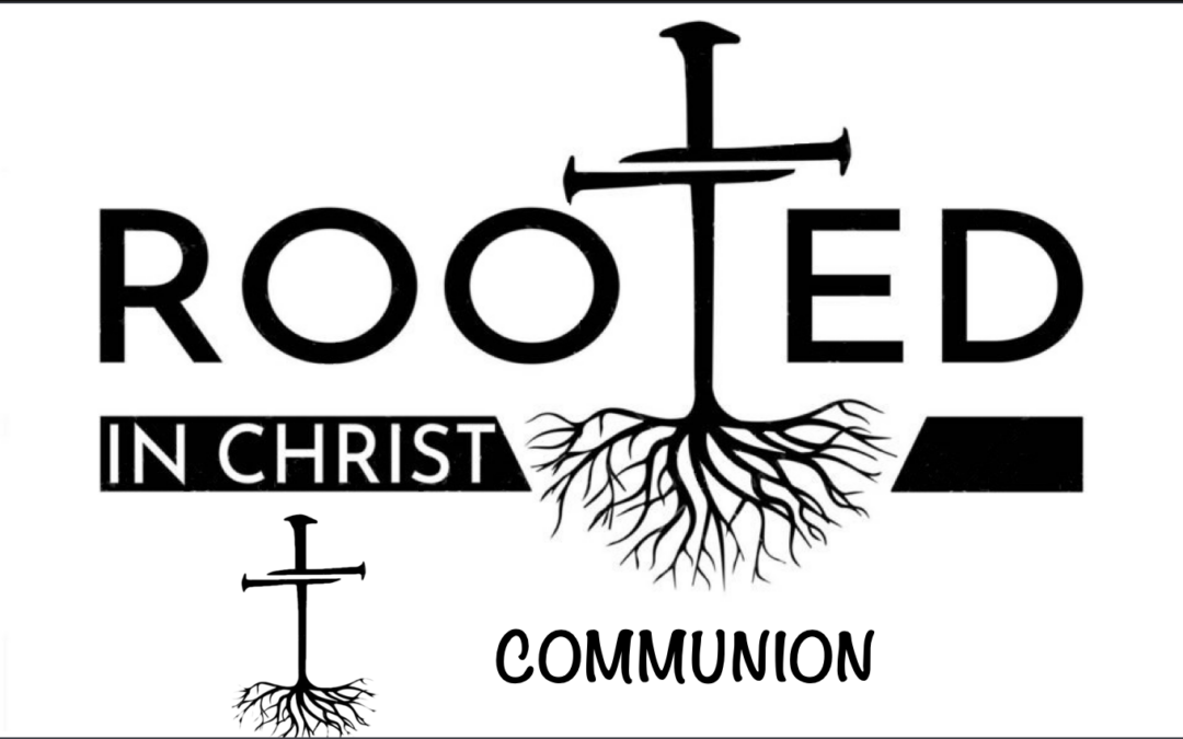 Rooted P7 Communion