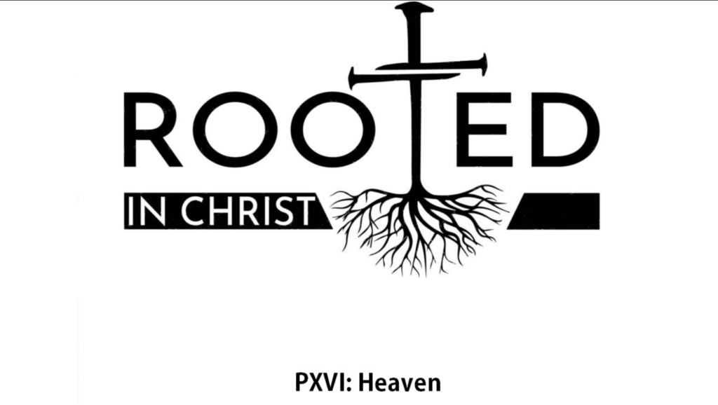 Rooted P16 Heaven Artwork for Rooted P16 Heaven