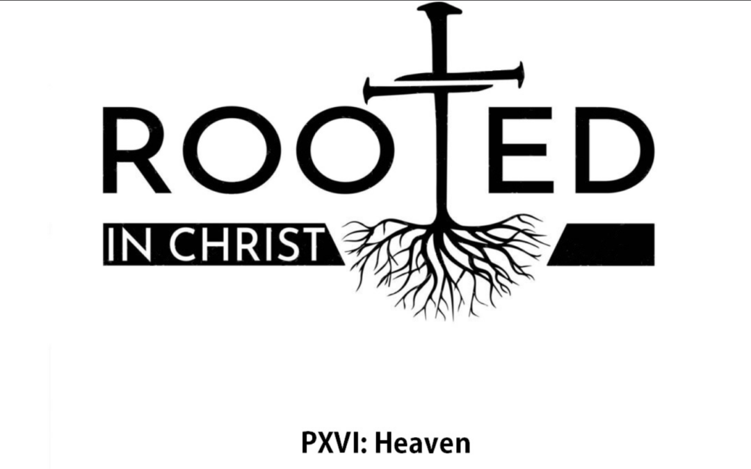 Rooted P16 Heaven
