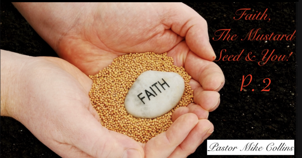 Artwork for Faith, The Mustard Seed, & You P2