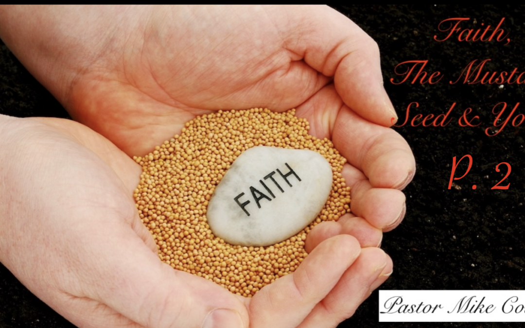Faith, The Mustard Seed, & You P2