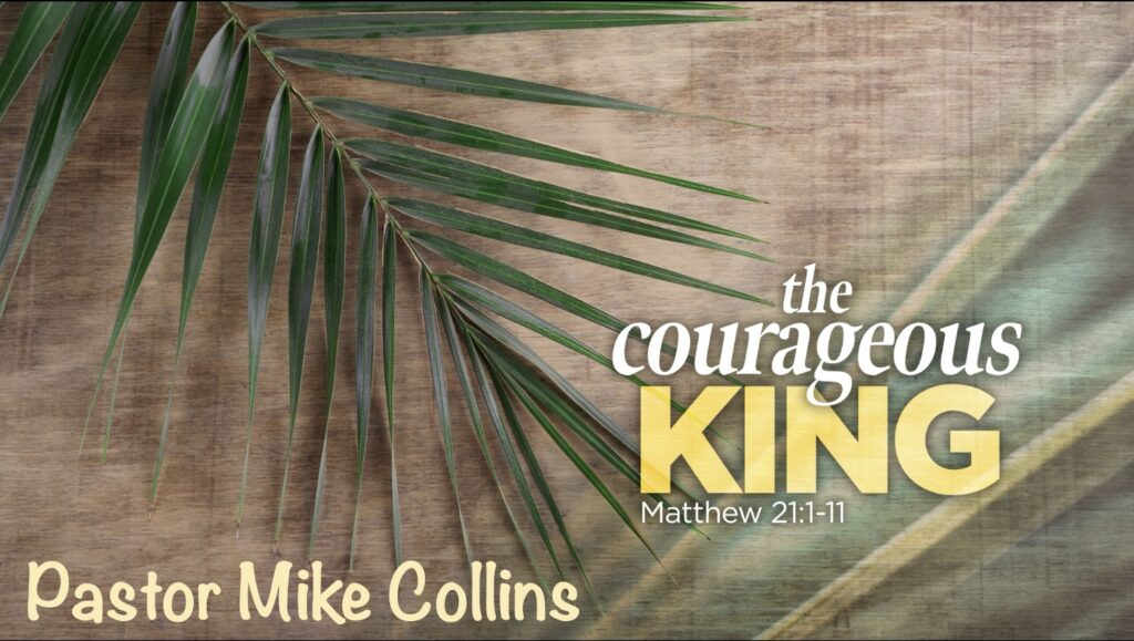 The Courageous King Artwork for The Courageous King