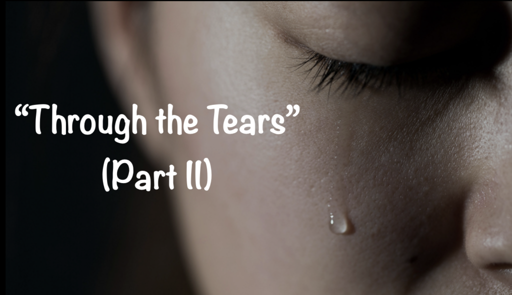Through the Tears 2 Artwork for Through the Tears 2