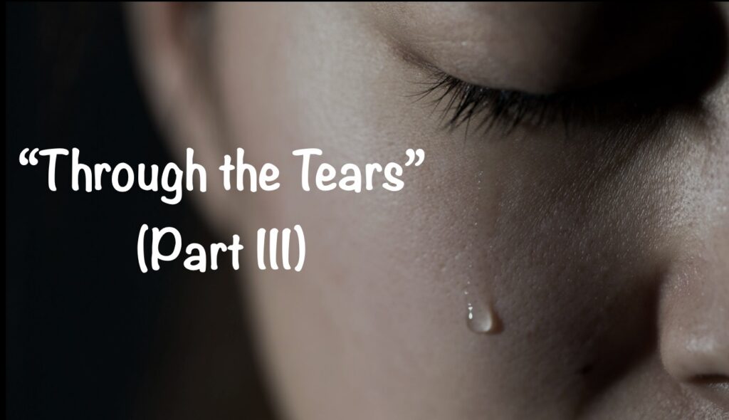 Through the Tears 3 Artwork for Through the Tears 3
