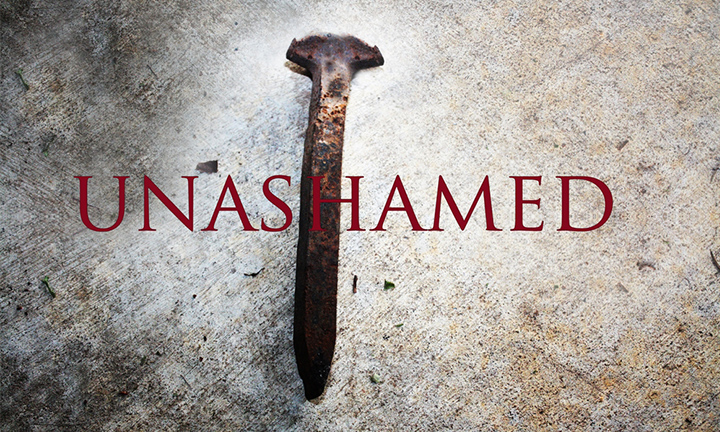 Artwork for Unashamed